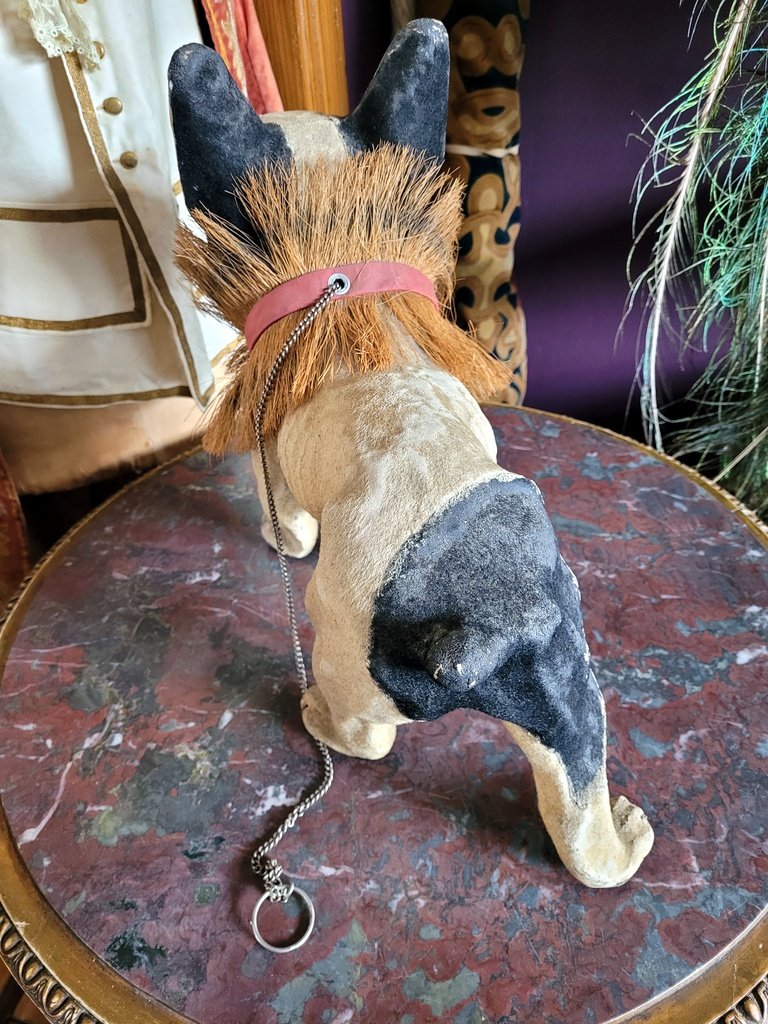 Bouledogue Aboyeur sur roulettes en Papier M&acirc;ch&eacute; - Fin XIXe D&eacute;but XXe Si&egrave;cle-photo-1