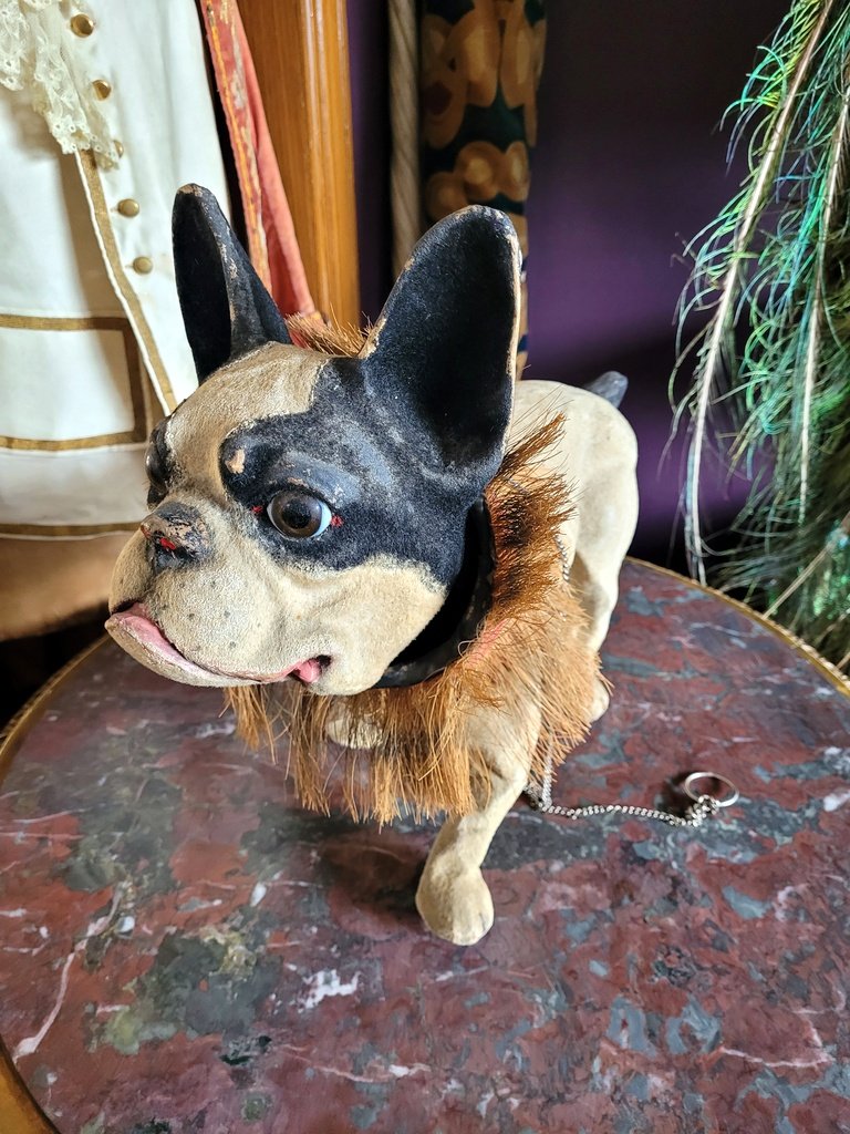 Bouledogue Aboyeur sur roulettes en Papier M&acirc;ch&eacute; - Fin XIXe D&eacute;but XXe Si&egrave;cle-photo-2