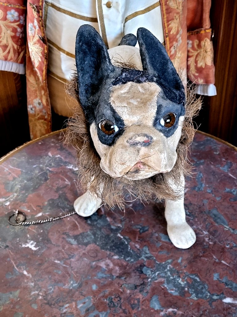  Barking Bulldog On Wheels, Made Of Papier-mâché. Parlor Toy, Late 19th/early 20th Century-photo-2