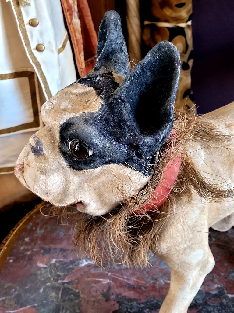  Barking Bulldog On Wheels, Made Of Papier-mâché. Parlor Toy, Late 19th/early 20th Century-photo-2