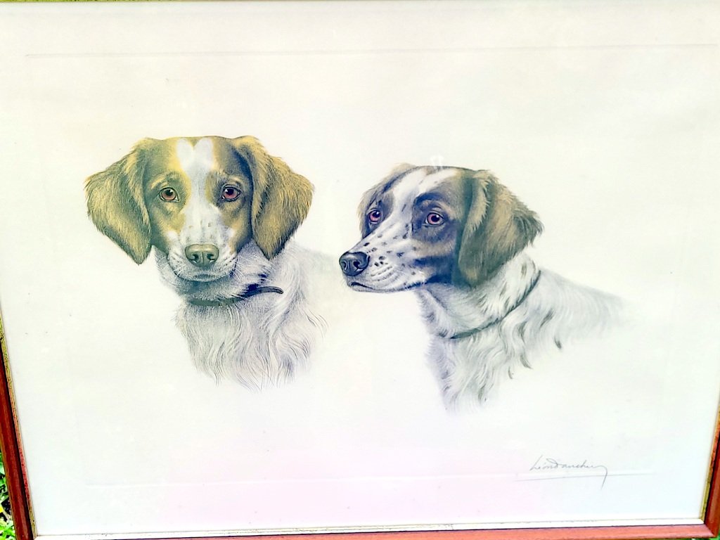 Gravure signée de Léon Danchin  " Couple d'épagneuls bretons " XXe Siècle-photo-2