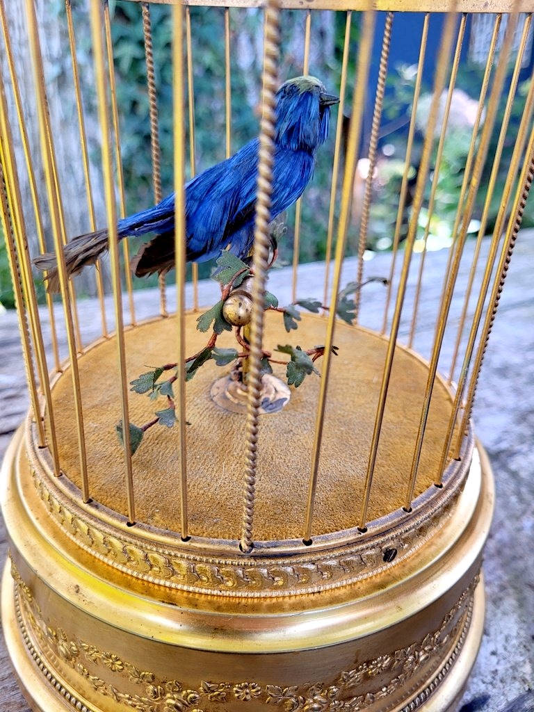 Blue Whistling Birdcage Automaton—19th Century-photo-3