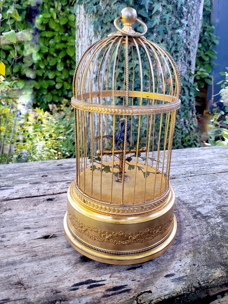 Blue Whistling Birdcage Automaton—19th Century-photo-4