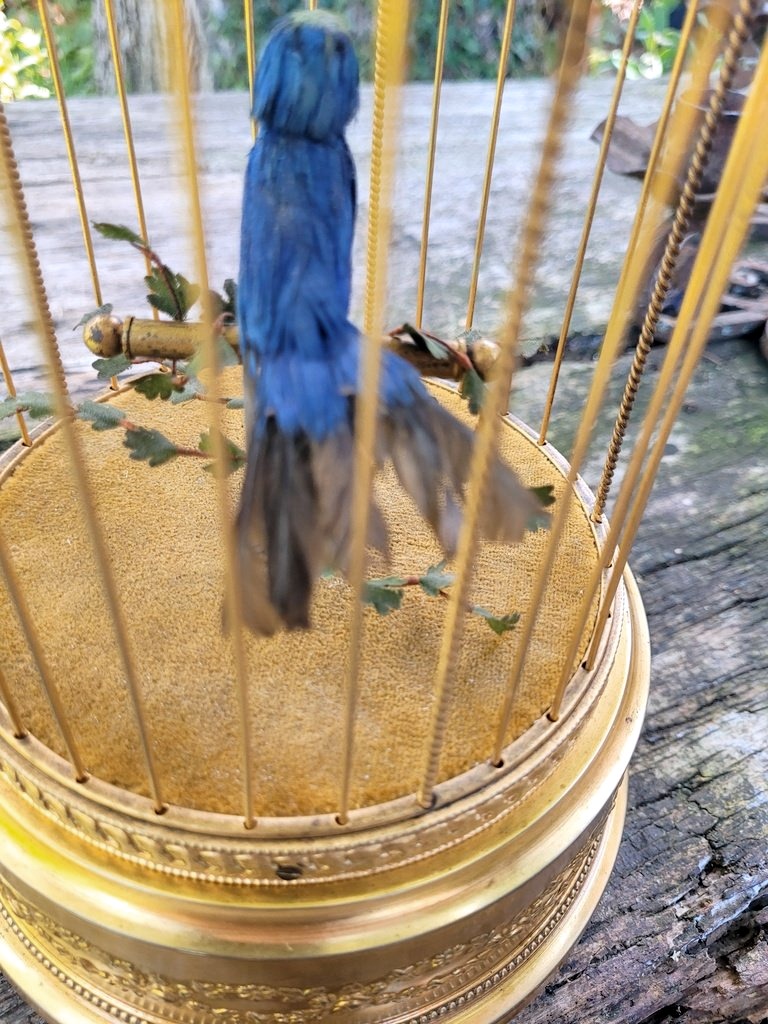 Blue Whistling Birdcage Automaton—19th Century-photo-4