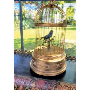 Blue Whistling Birdcage Automaton—19th Century