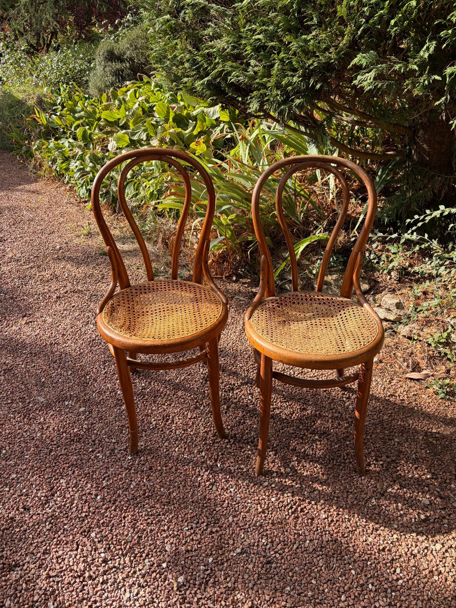3 chaises thonet