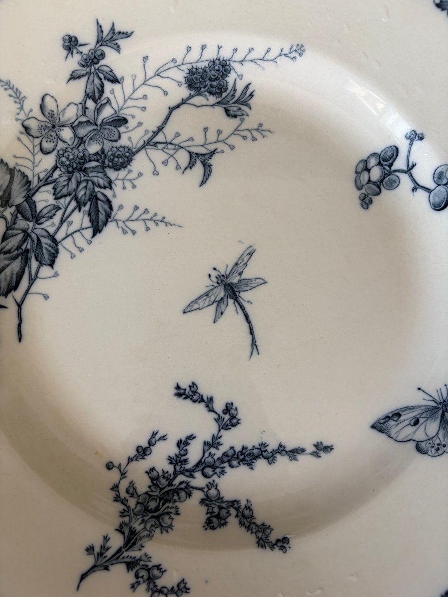 2 Carmen Plates With Dragonfly And Butterfly Designs -photo-2