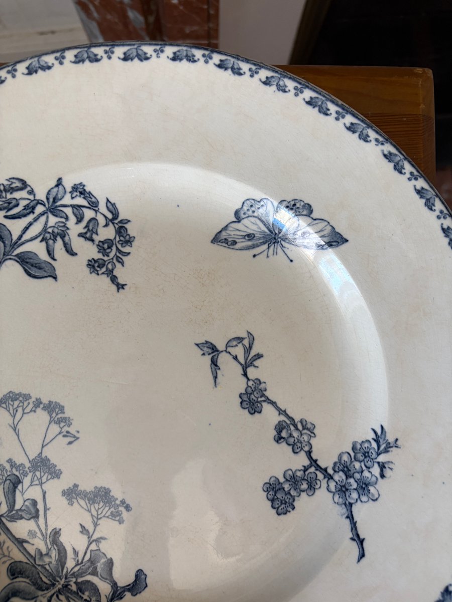 2 Carmen Plates With Dragonfly And Butterfly Designs -photo-4