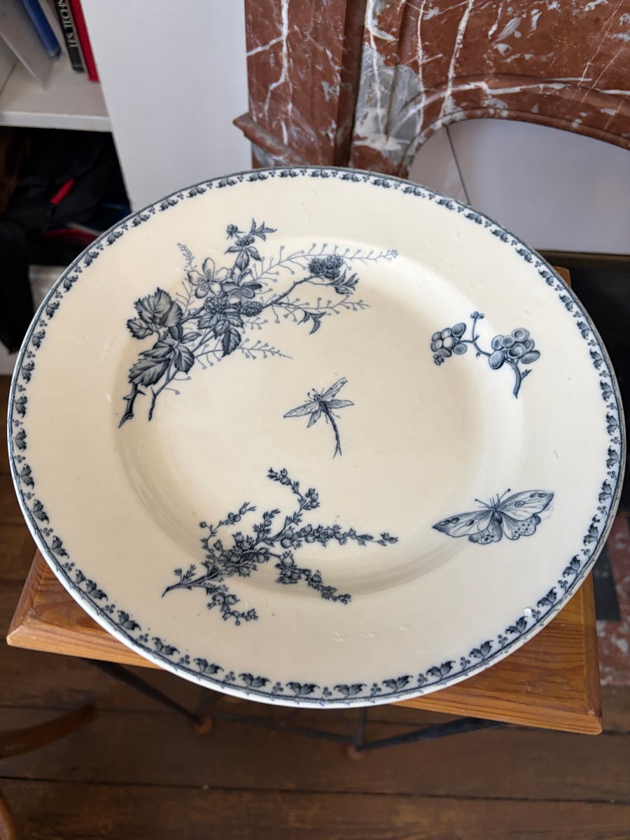 2 Carmen Plates With Dragonfly And Butterfly Designs 