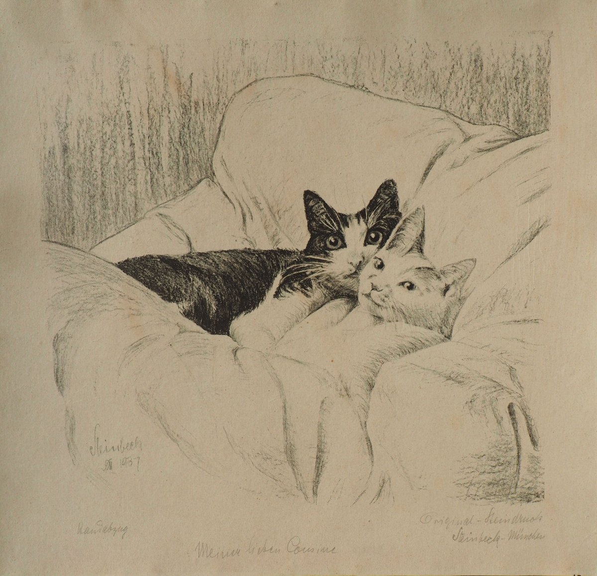Steinbeck Albert , Chats