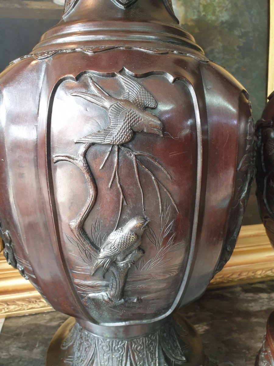 Important Pair Of Bronze Vases, Japan Meiji Era-photo-2