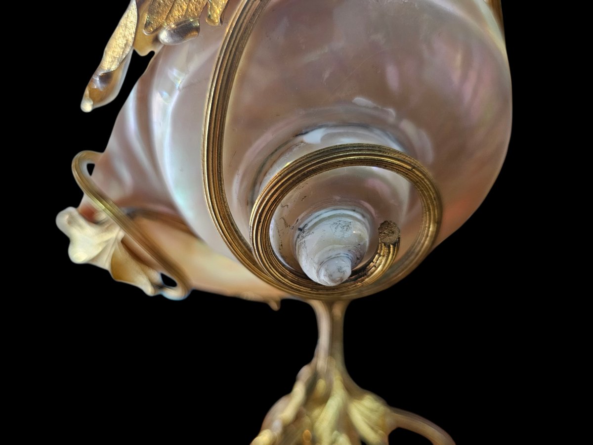 Mother-of-pearl Shell Mounted In Gilt Bronze On A Circular Onyx Base-photo-1