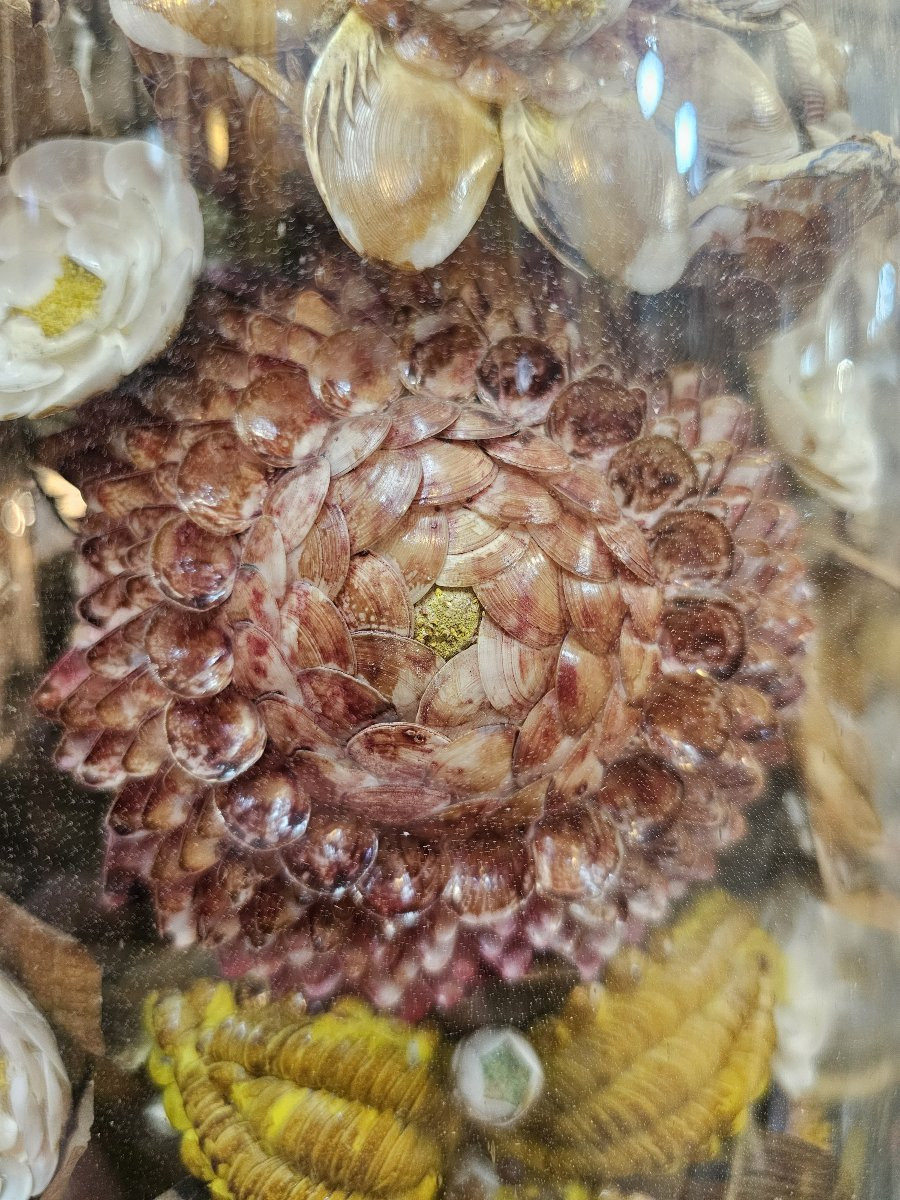 Set Of 9 Wedding Globes, Shell Work, Spain, Late 19th Century-photo-2