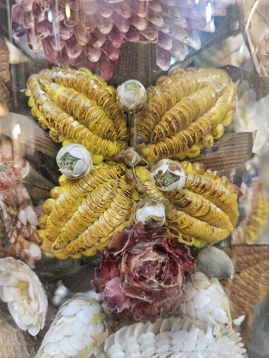 Set Of 9 Wedding Globes, Shell Work, Spain, Late 19th Century-photo-3