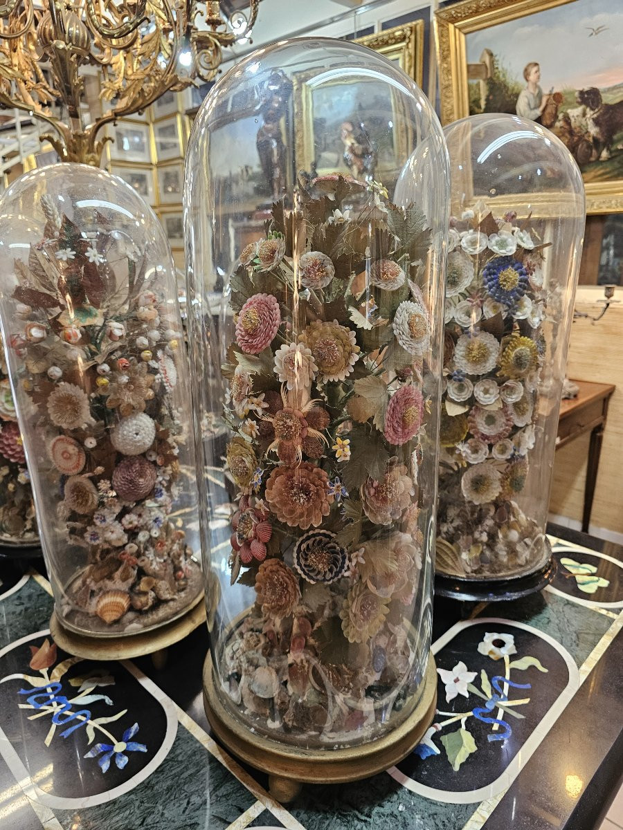 Set Of 9 Wedding Globes, Shell Work, Spain, Late 19th Century-photo-4