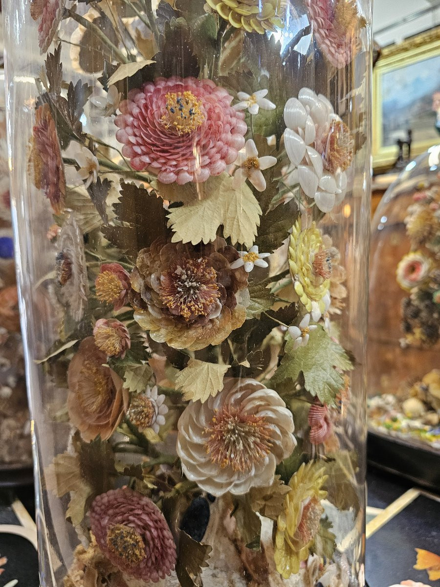 Set Of 9 Wedding Globes, Shell Work, Spain, Late 19th Century-photo-6