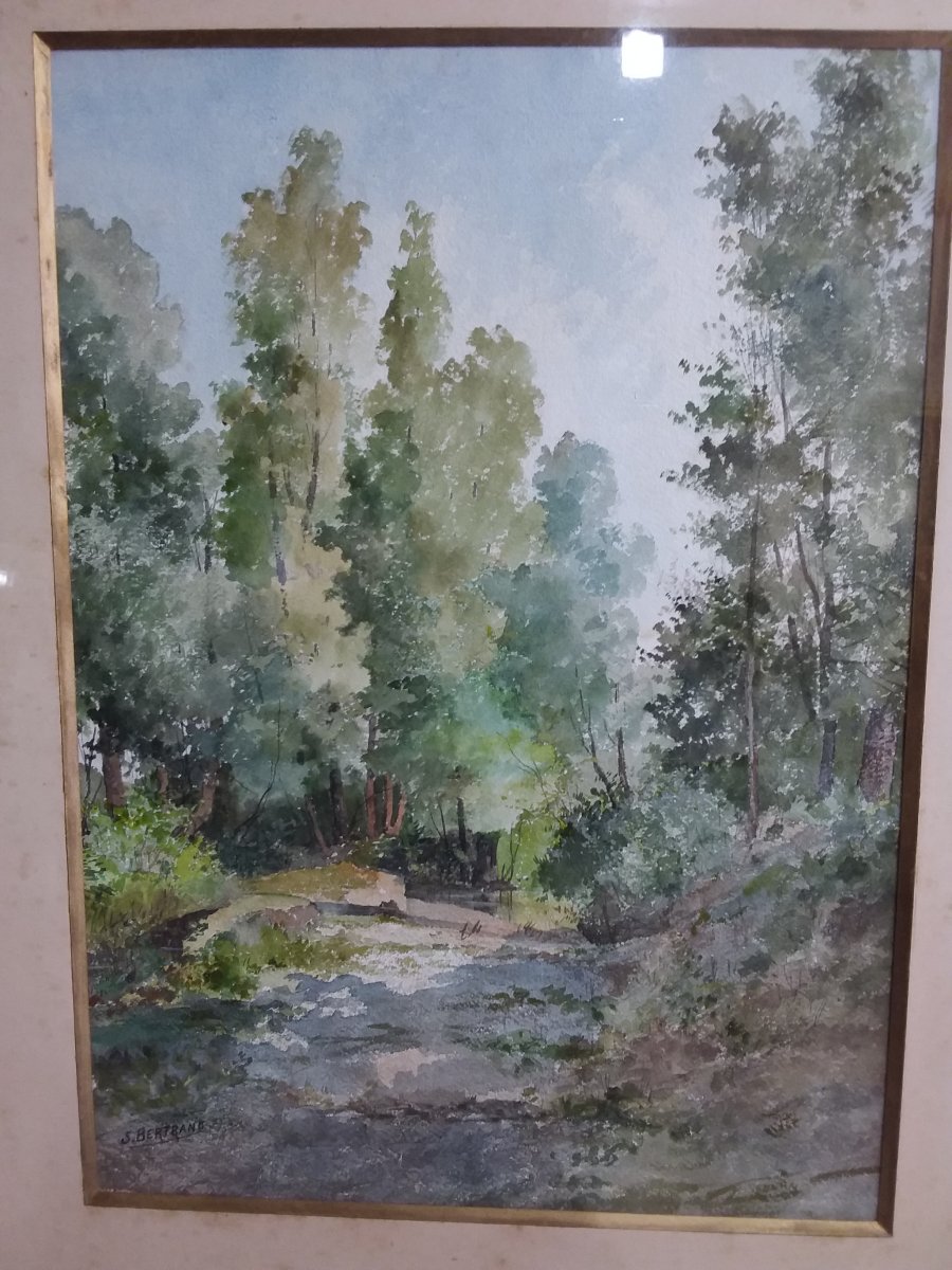 Watercolor Wooded Path Signed S. Bertrand-photo-2