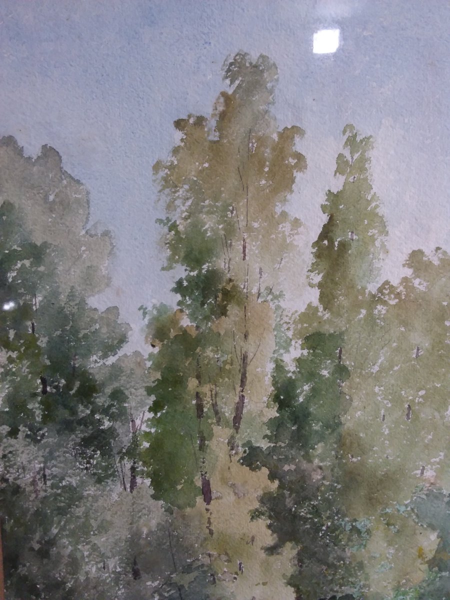 Watercolor Wooded Path Signed S. Bertrand-photo-3