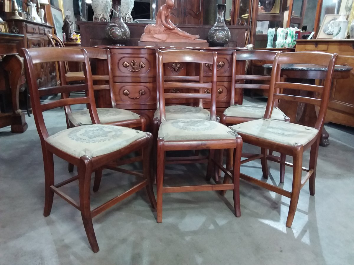 Salon Restauration à Crosses , Canapé,  6 Fauteuils Et 6 Chaises -photo-3