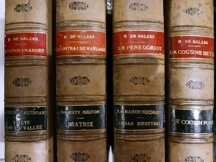 œuvres Complètes Illustrées De Honoré De Balzac 1869 22 Volumes -photo-1