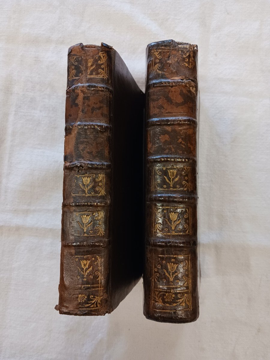 New Commentary On The Custom Of The Provost And Viscount Of Paris 1770 60 Euros-photo-3