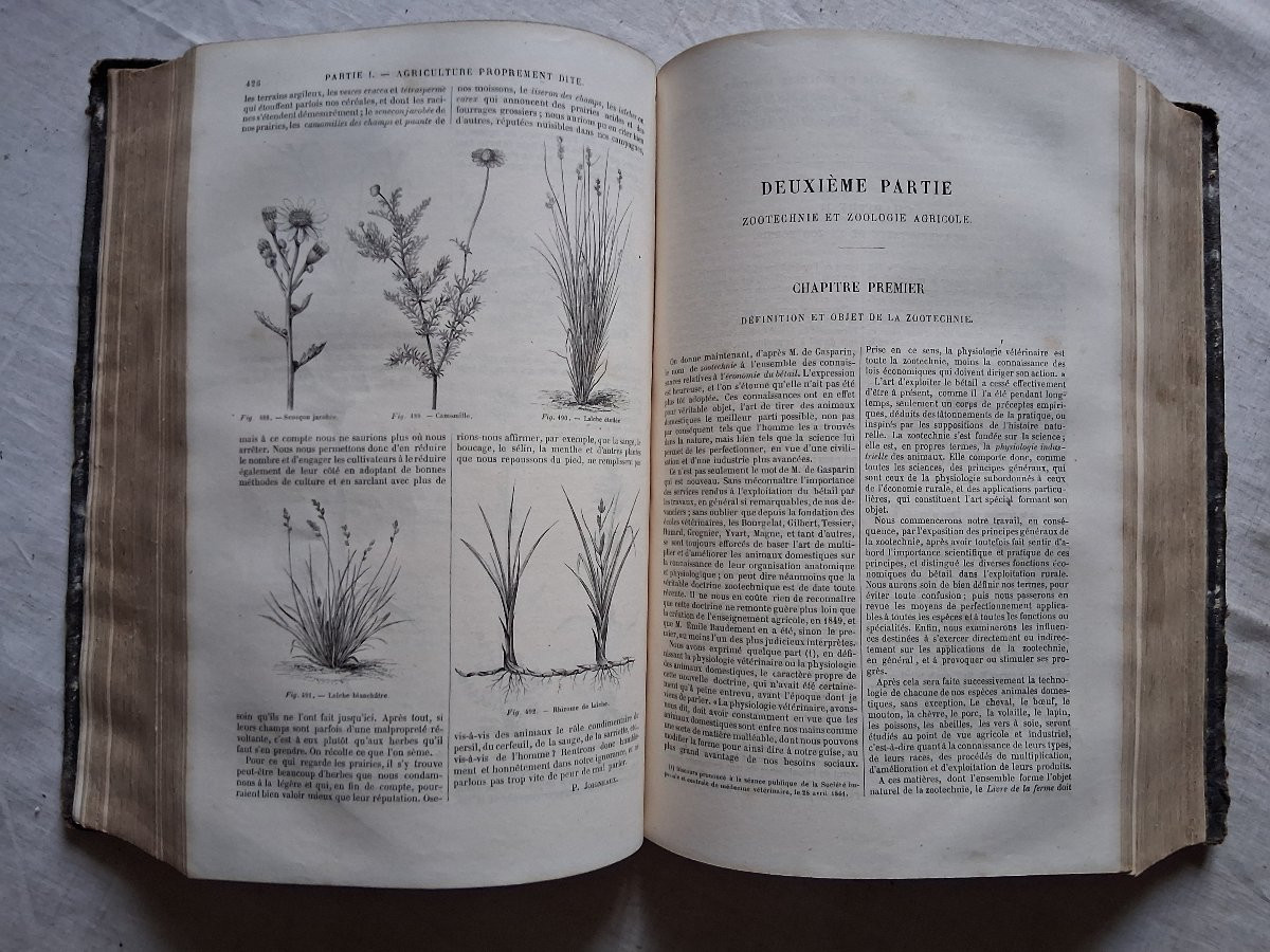 The Book Of Farms And Country Houses /1865-photo-4