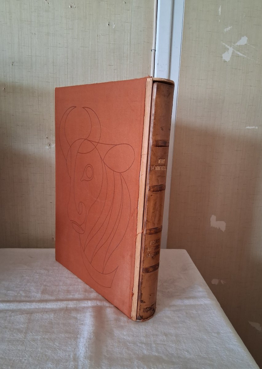 Bestiaire  /  Henry de Montherlant-photo-8