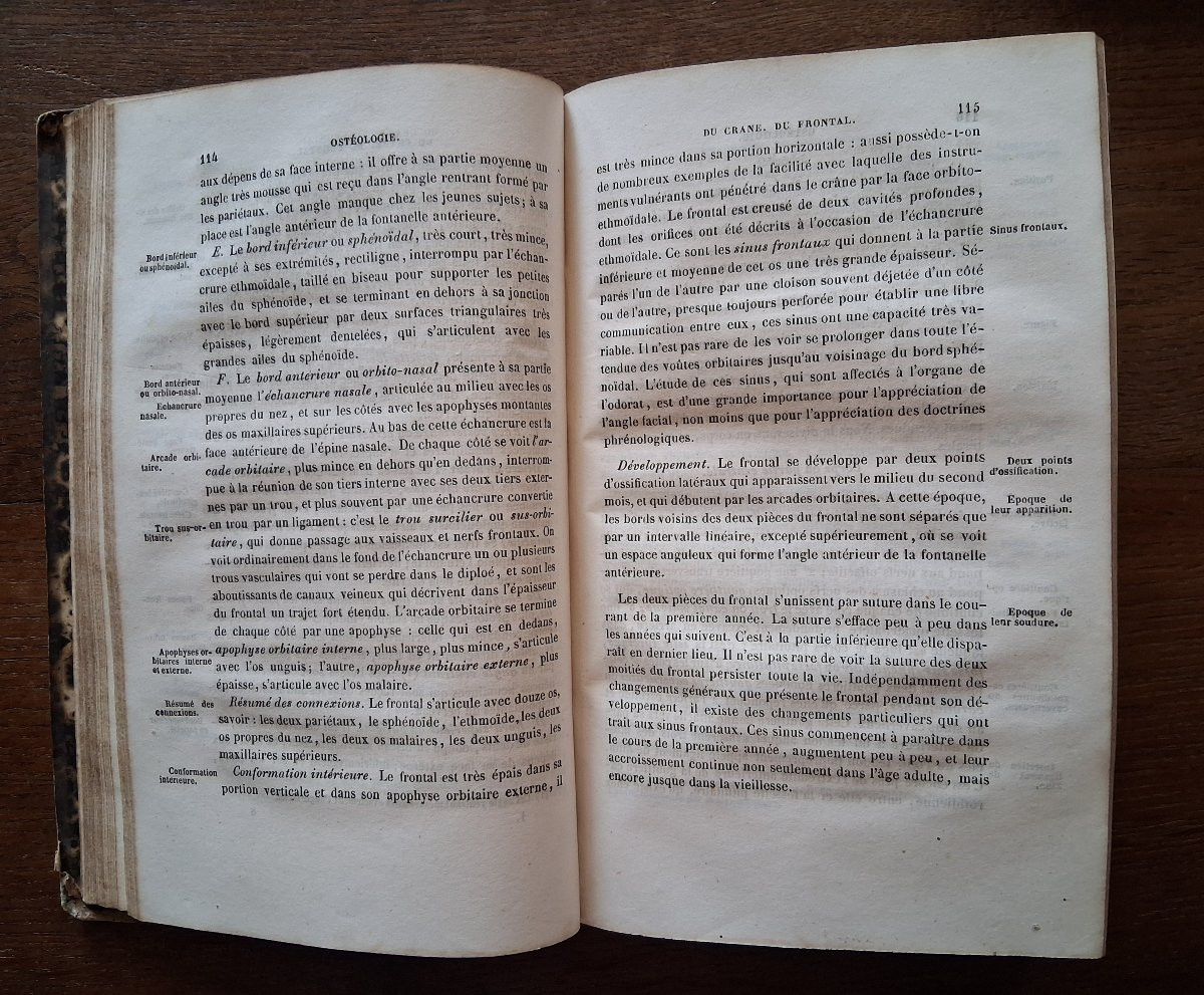 Traité d' Anatomie  /  1843-photo-3