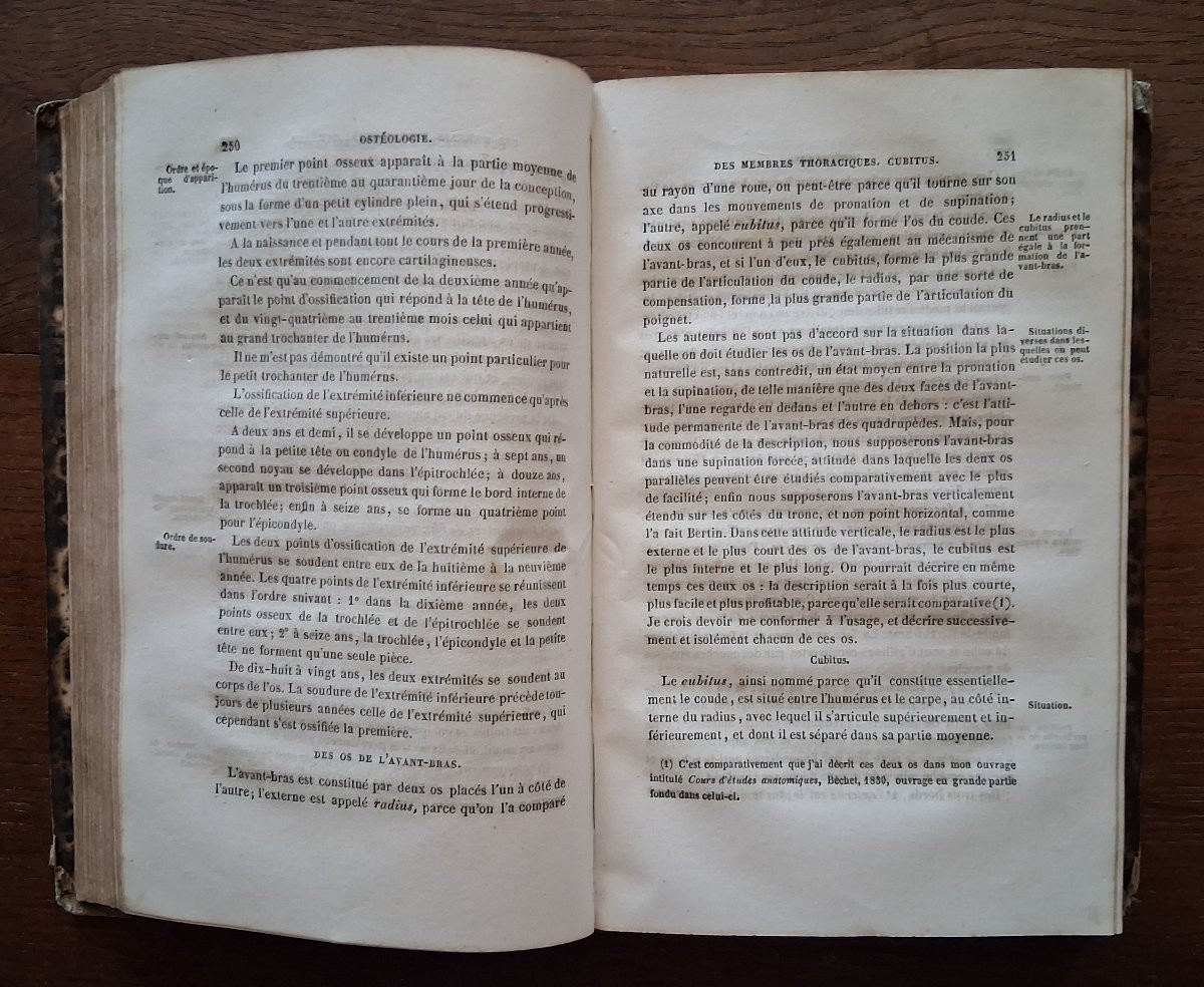 Traité d' Anatomie  /  1843-photo-4