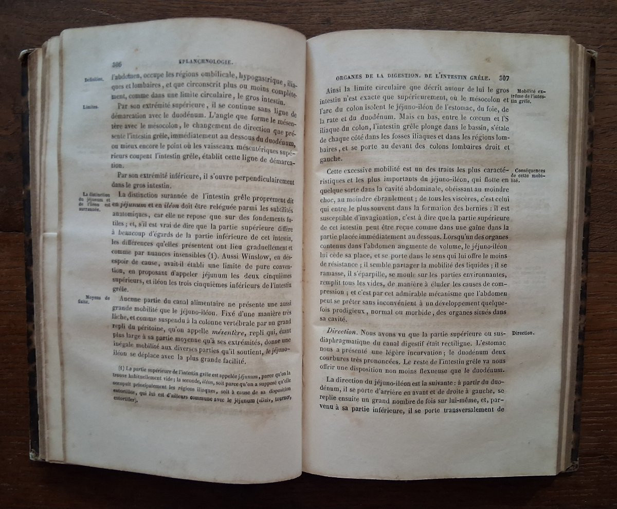 Traité d' Anatomie  /  1843-photo-3