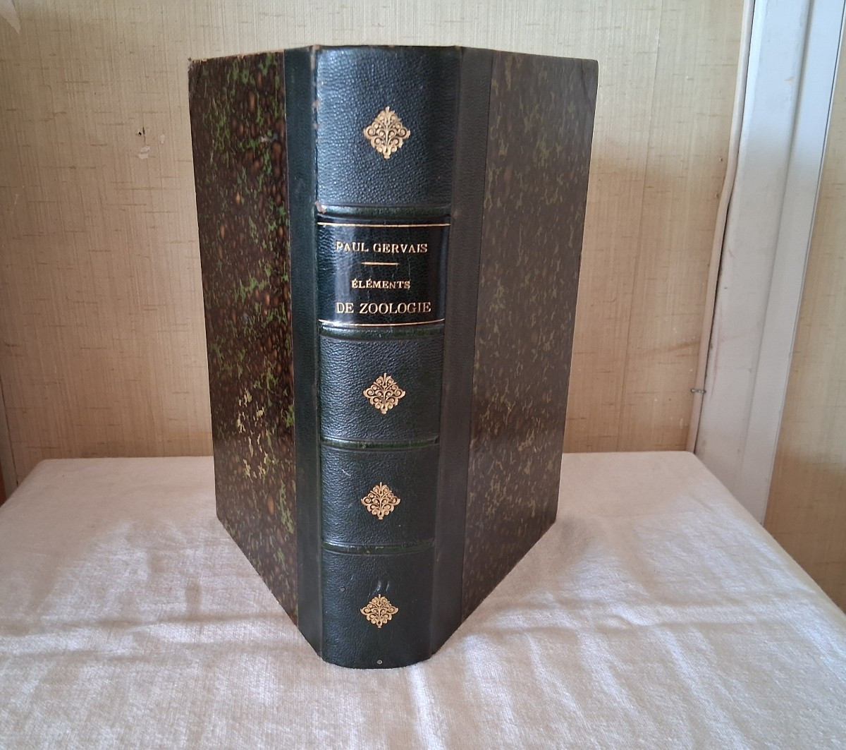 Elements Of Zoology / 1877