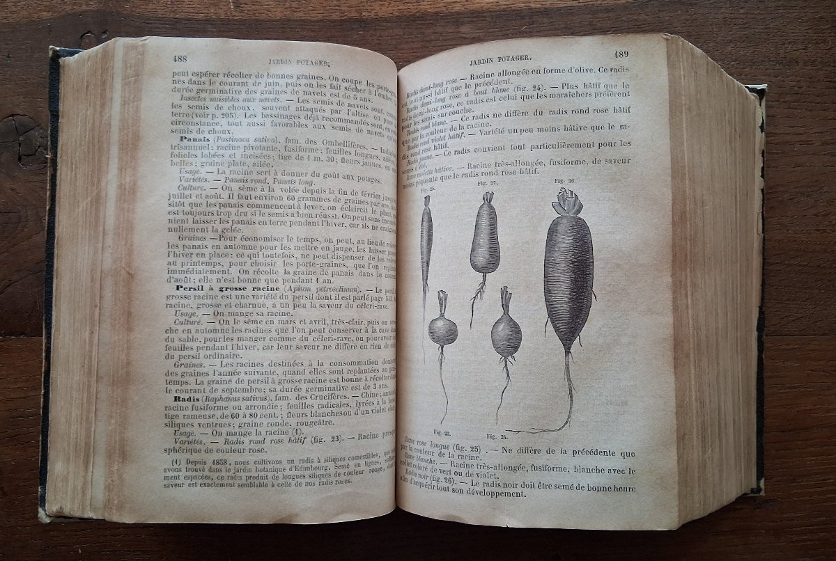 Ensemble de Livres sur le Jardinage / XIXème-XVIIIème-photo-2
