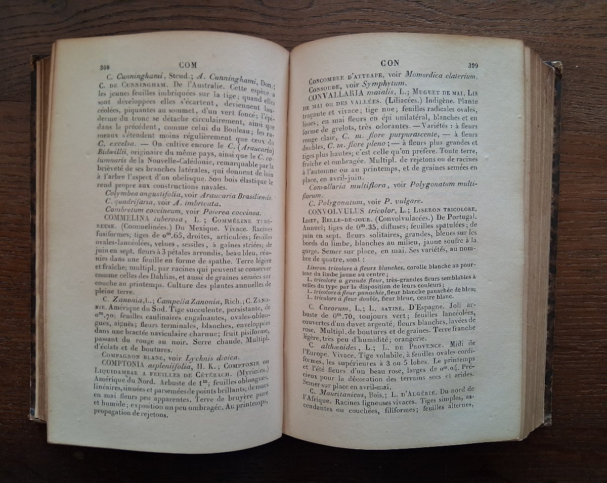 Ensemble de Livres sur le Jardinage / XIXème-XVIIIème-photo-2