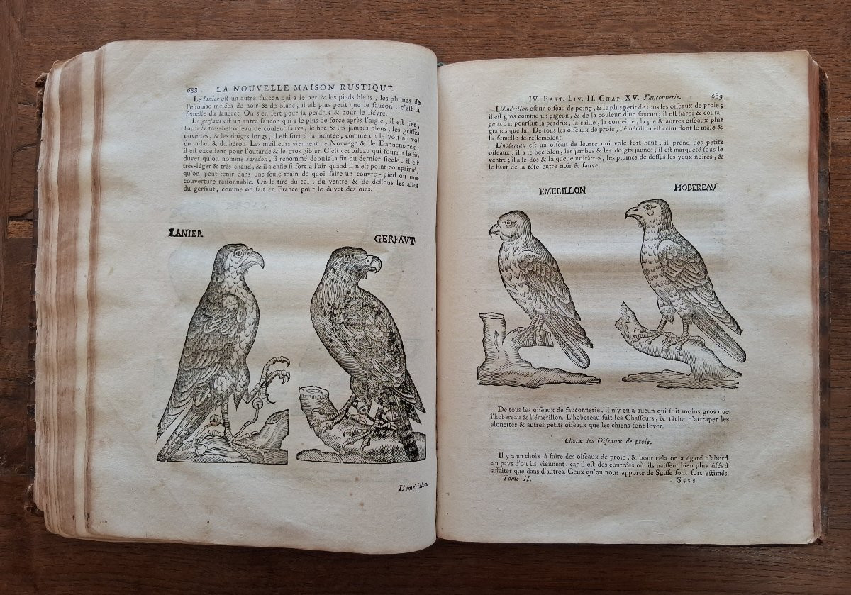 The New Rustic House / 1775-photo-7