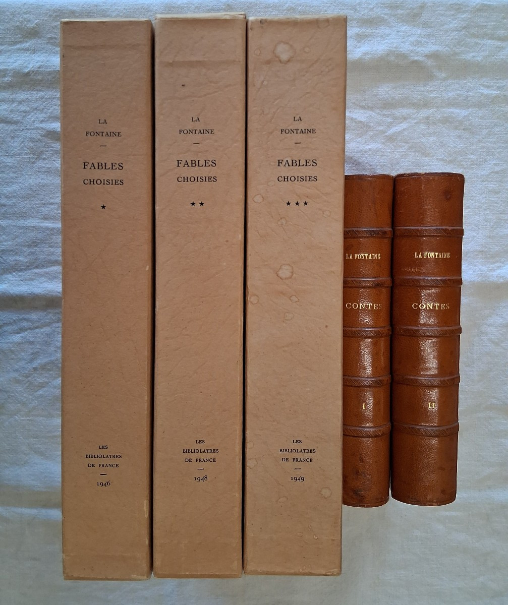 Ensemble de Livres de la Fontaine