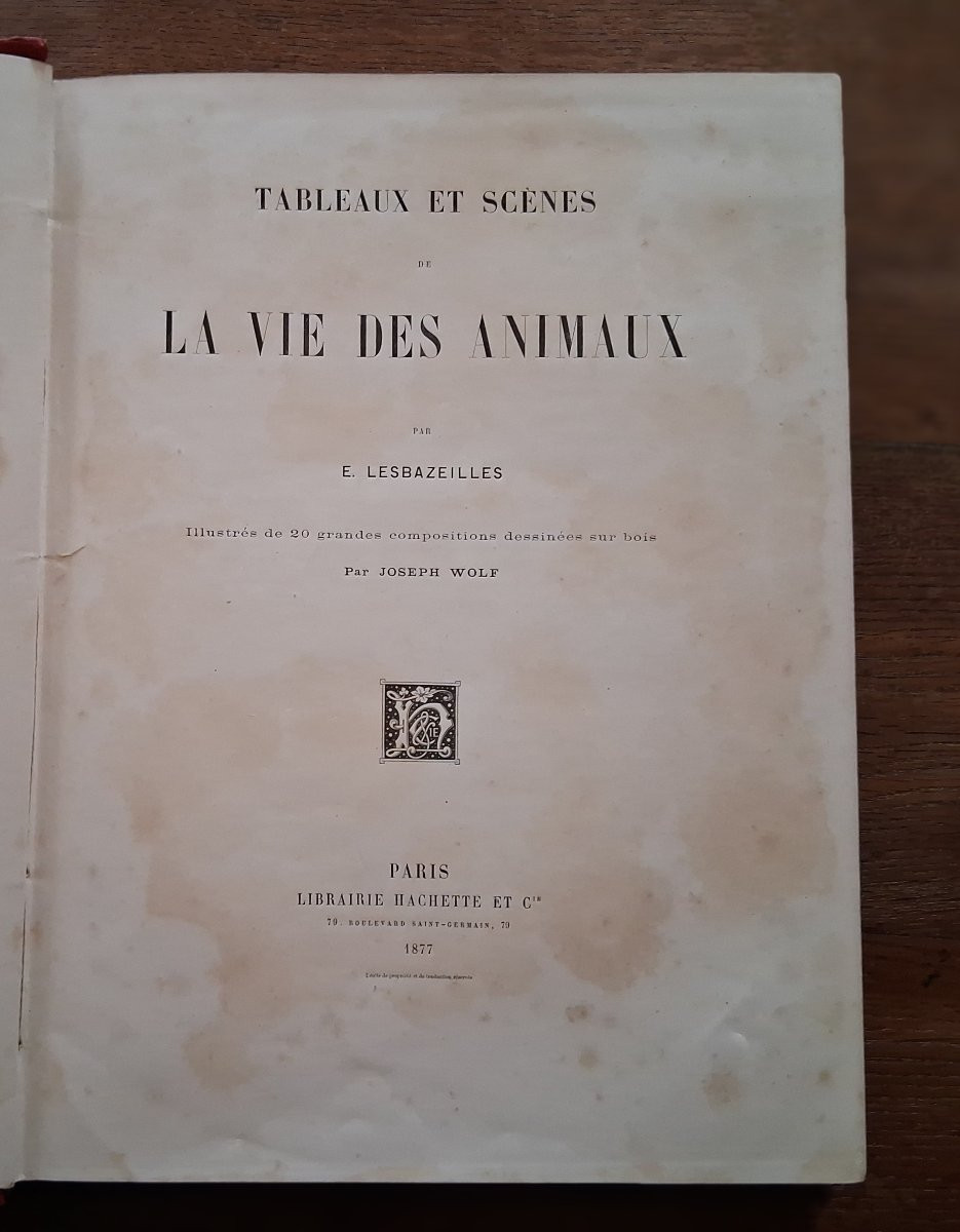Tableaux et Scènes de la Vie des Animaux  /  1877-photo-2