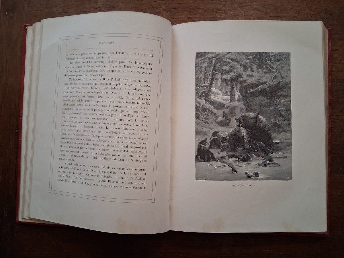 Tableaux et Scènes de la Vie des Animaux  /  1877-photo-3