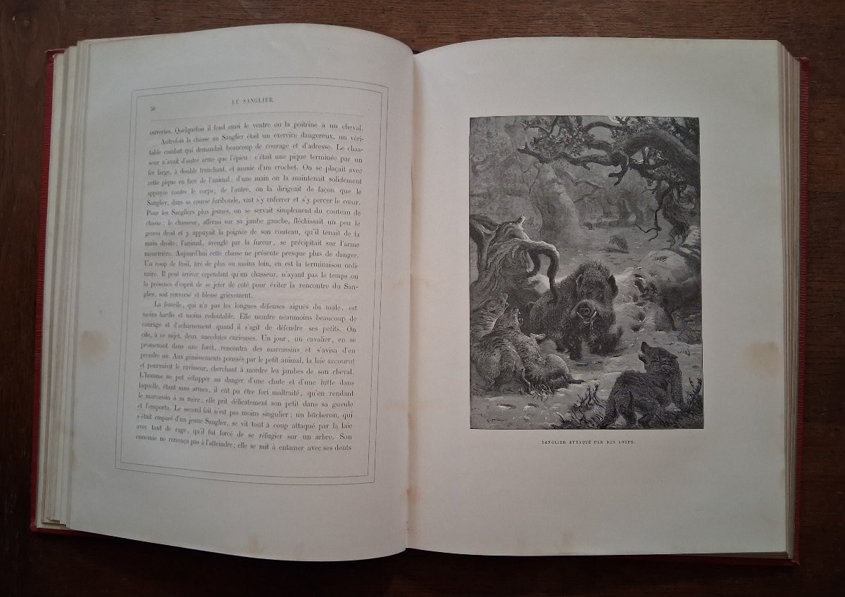 Tableaux et Scènes de la Vie des Animaux  /  1877-photo-1