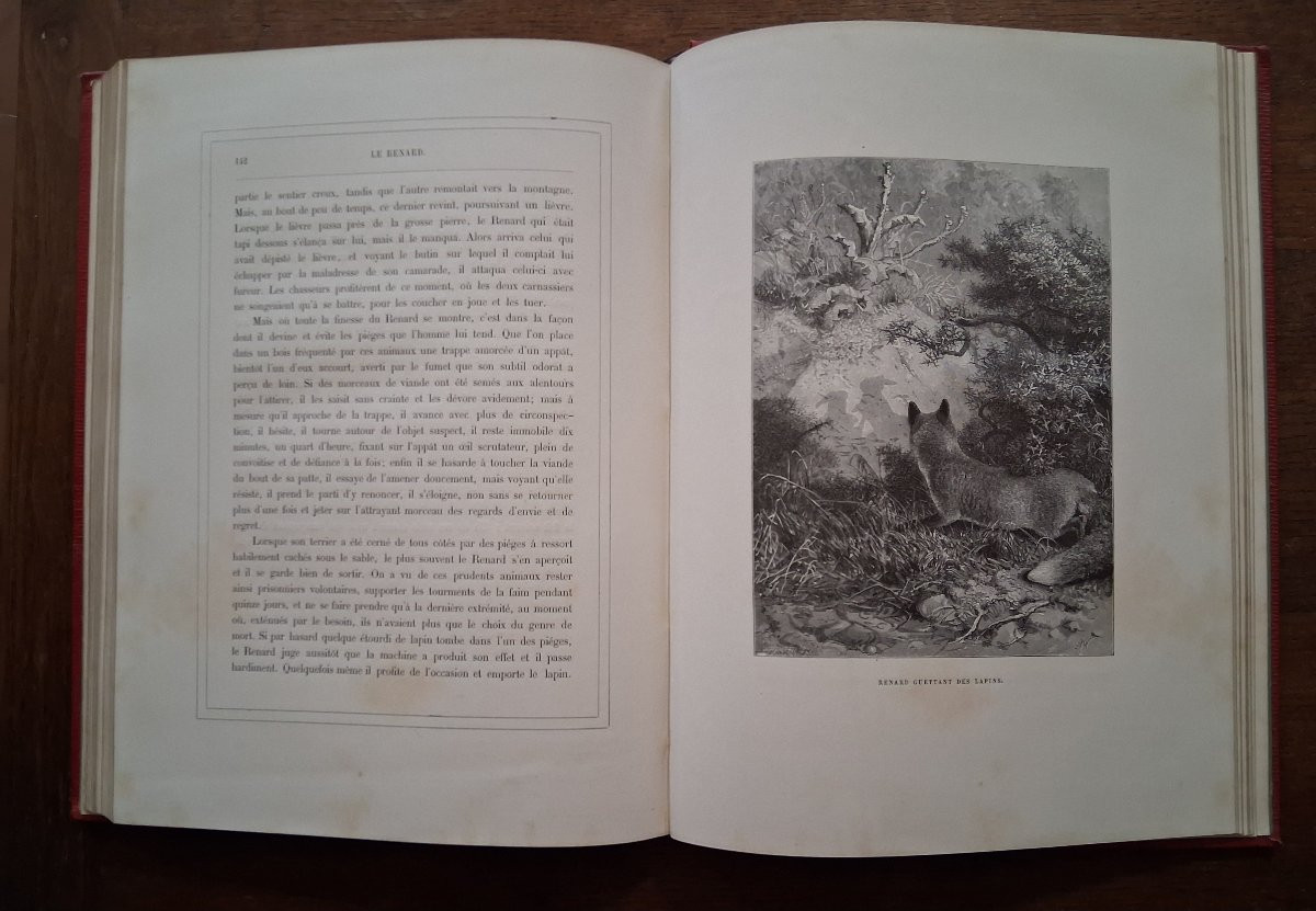 Tableaux et Scènes de la Vie des Animaux  /  1877-photo-4