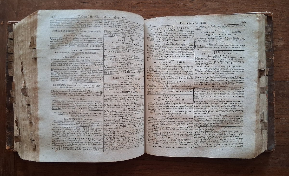 Corpus Juris Civilis Academicum / 1789-photo-3