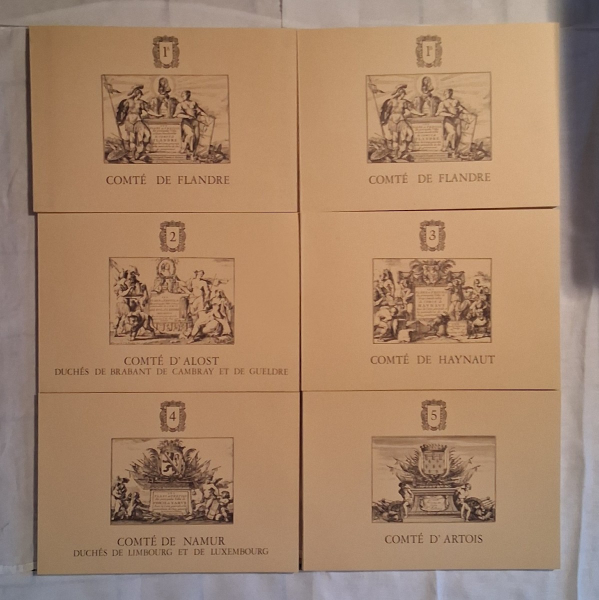 Maps And Profiles Of The Main Towns And Places In The County / De Beaulieu