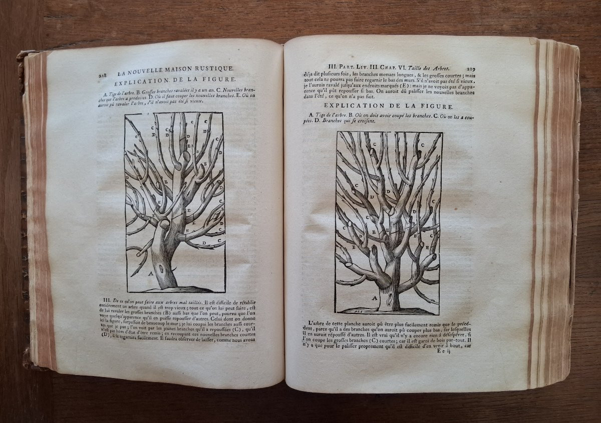 La Nouvelle Maison Rustique / 1775-photo-4