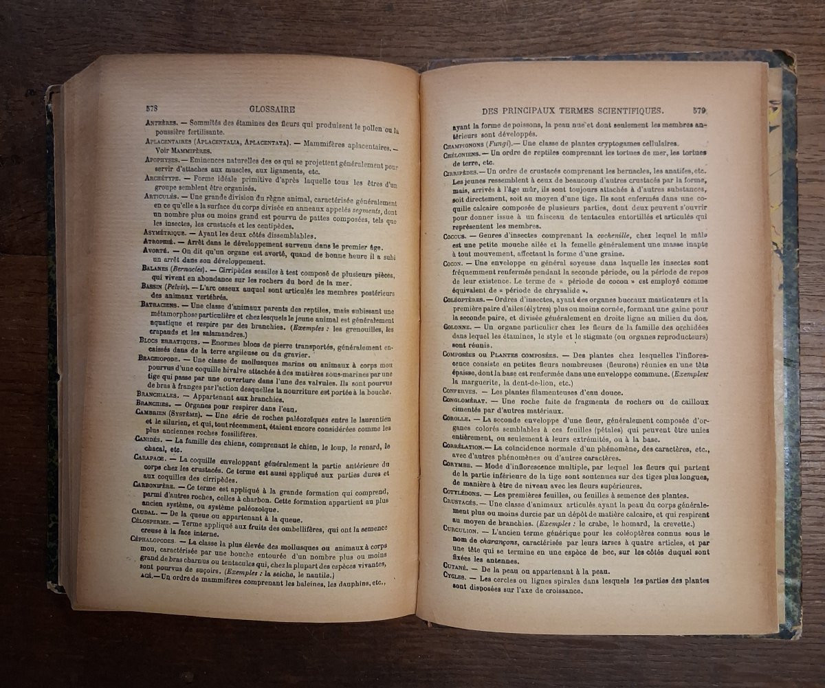 On The Origin Of Species By Darwin / 1896-photo-3