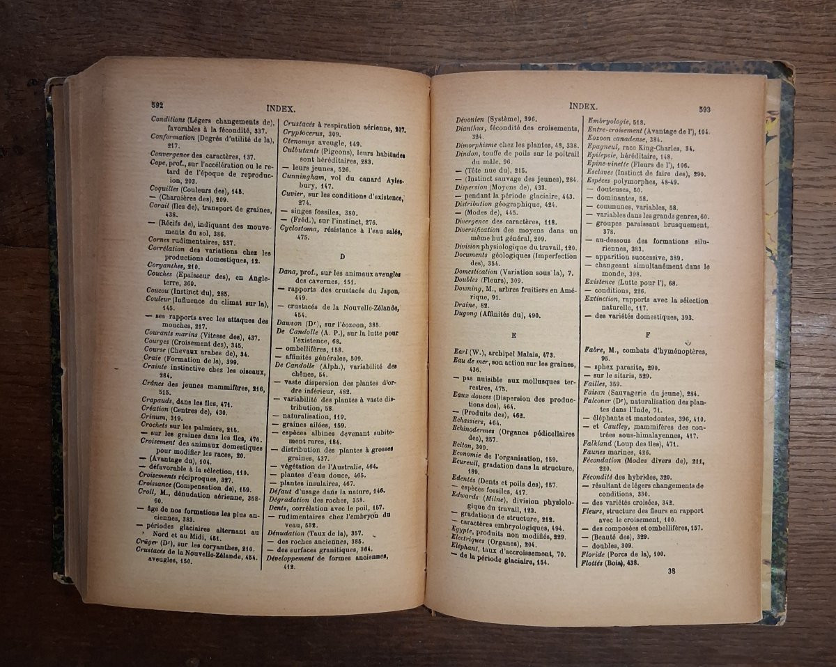 On The Origin Of Species By Darwin / 1896-photo-4