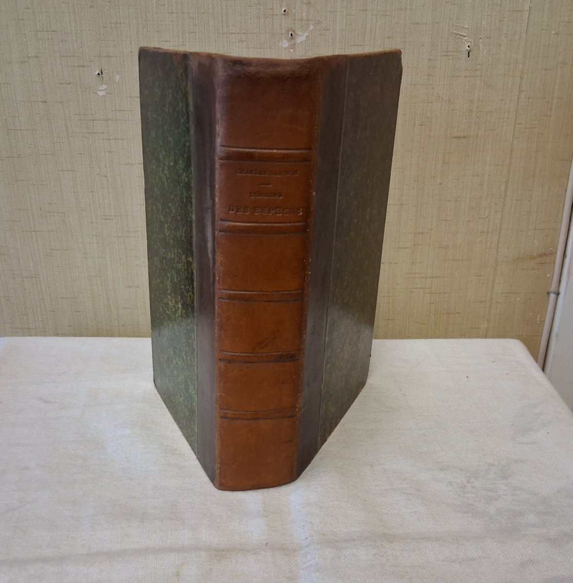 On The Origin Of Species By Darwin / 1896-photo-5