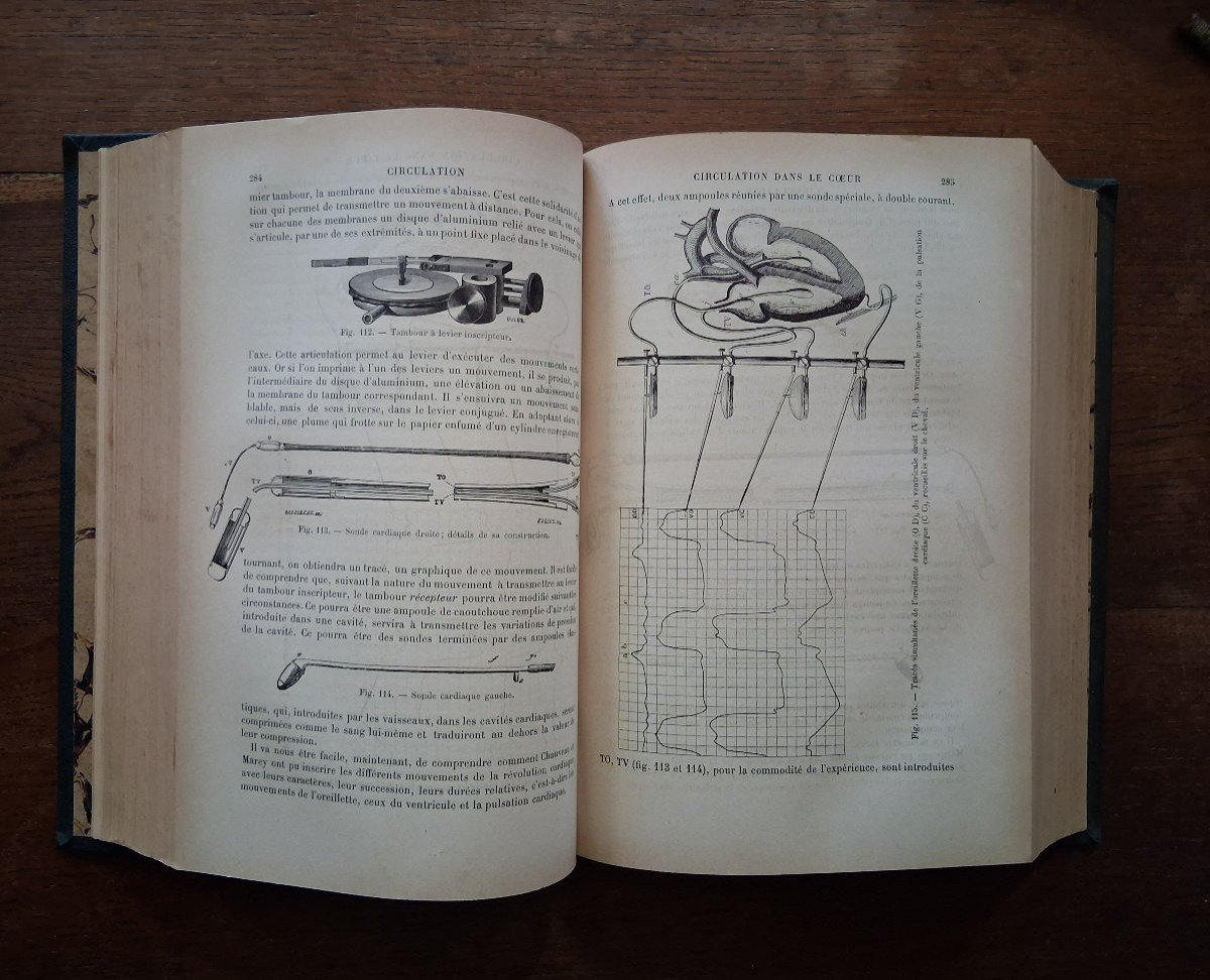 Elementary Treatise On Human Physiology / 1894-photo-4