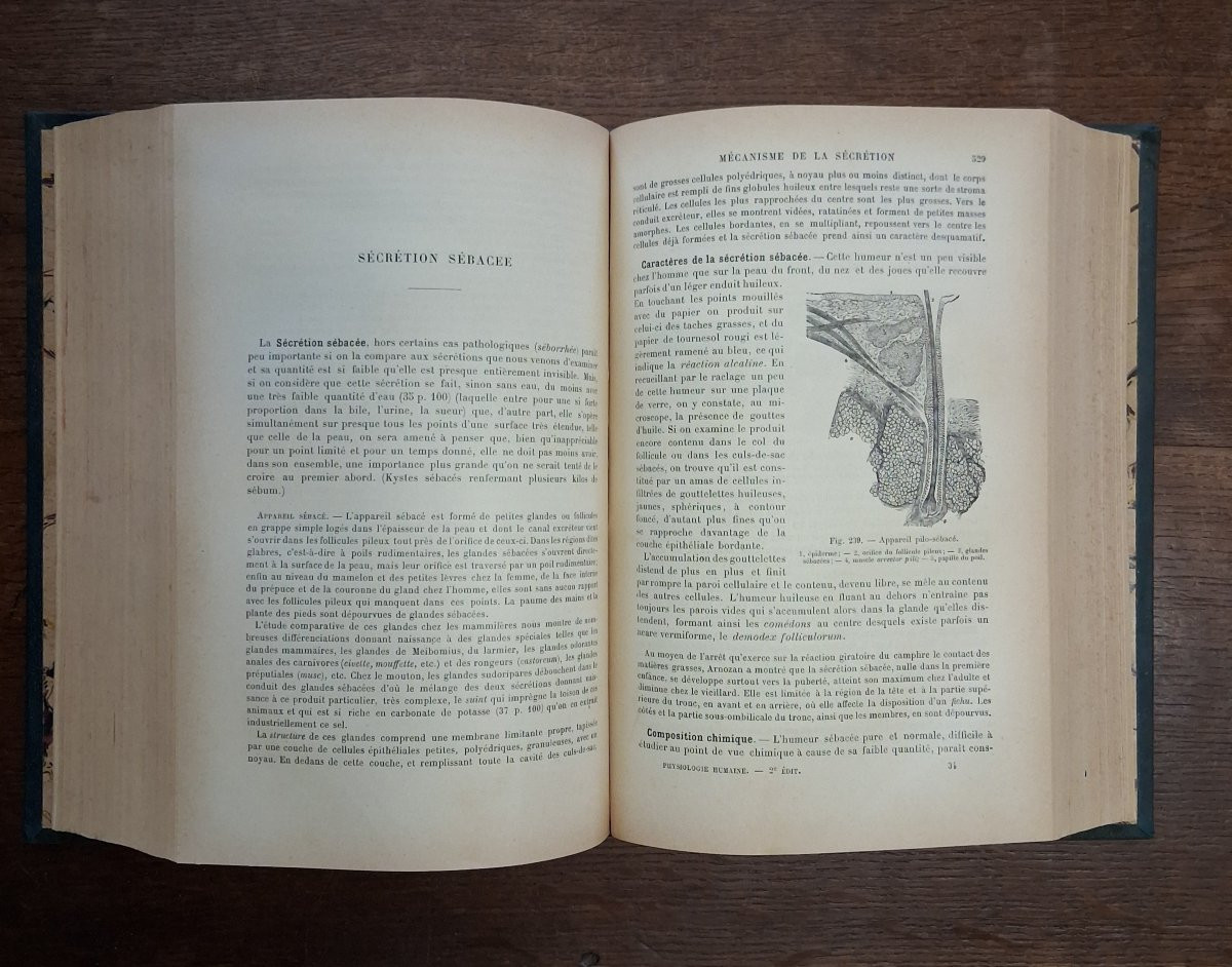 Elementary Treatise On Human Physiology / 1894-photo-3
