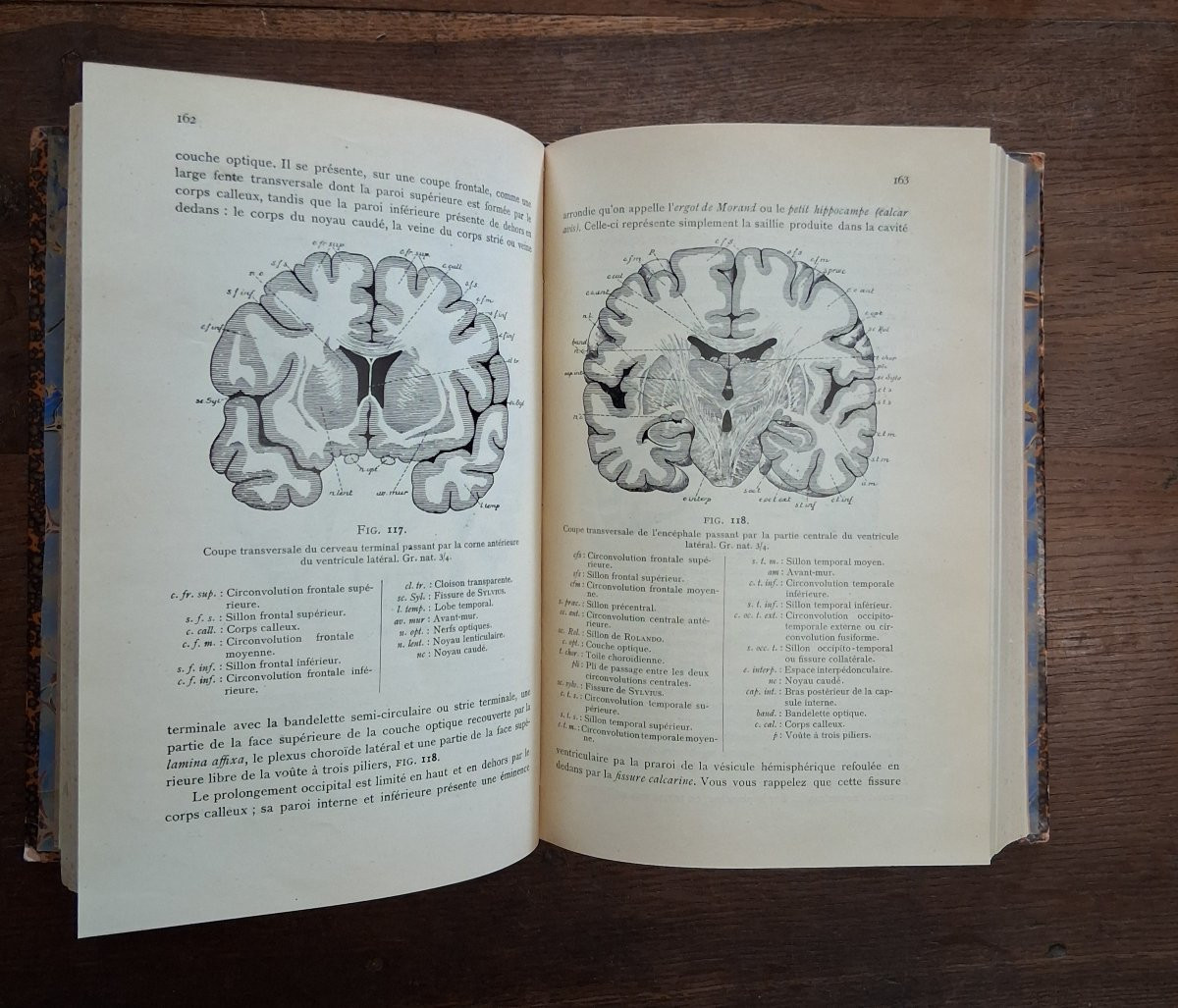 Anatomie de système nerveux de l'homme  / 1900-photo-3