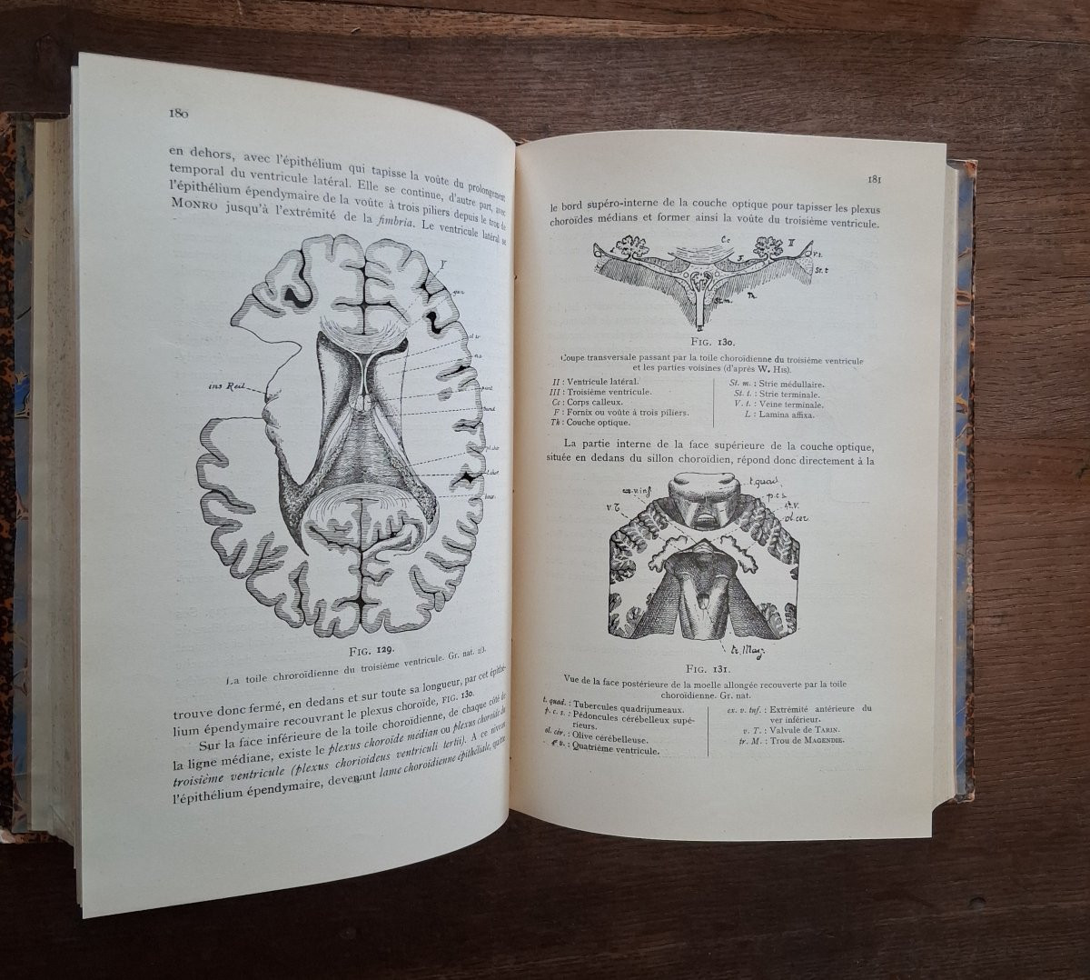 Anatomie de système nerveux de l'homme  / 1900-photo-4