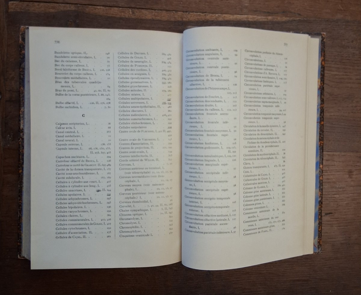 Anatomie de système nerveux de l'homme  / 1900-photo-7
